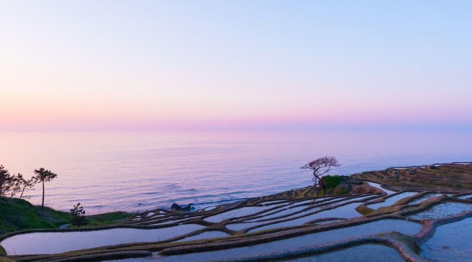 Shiroyone Senmaida rice terraces