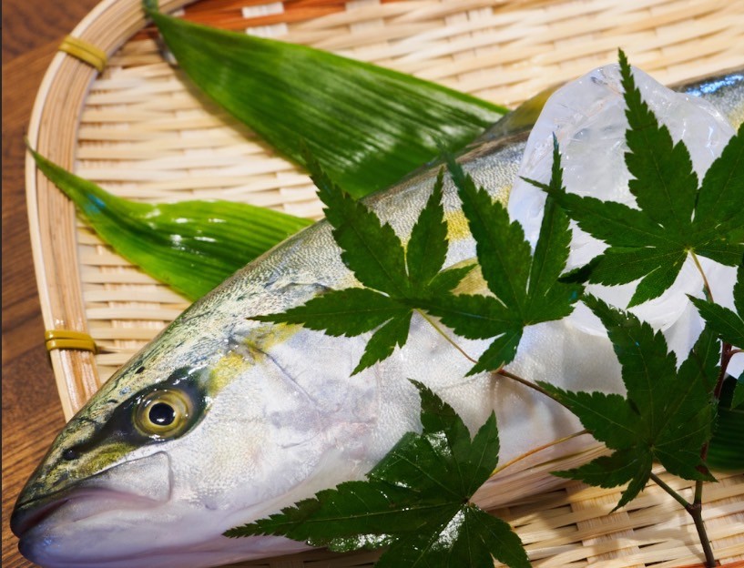 Winter yellowtail preparation